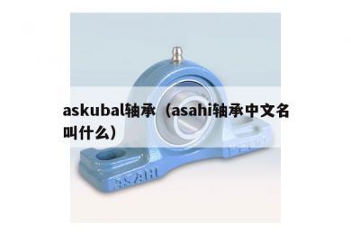 askubal轴承（asahi轴承中文名叫什么）