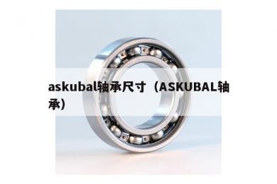 askubal轴承尺寸（ASKUBAL轴承）