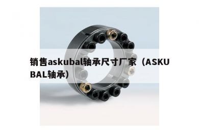 销售askubal轴承尺寸厂家（ASKUBAL轴承）