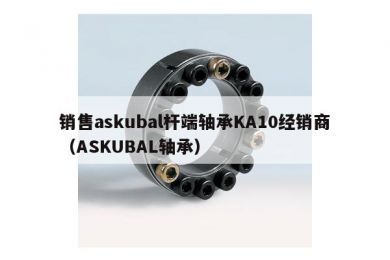 销售askubal杆端轴承KA10经销商（ASKUBAL轴承）