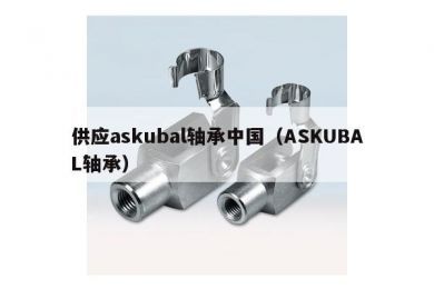 供应askubal轴承中国（ASKUBAL轴承）