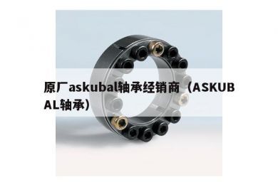 原厂askubal轴承经销商（ASKUBAL轴承）