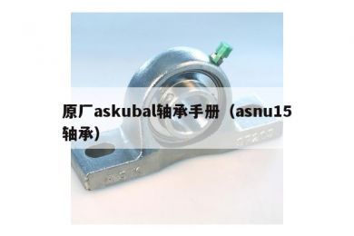 原厂askubal轴承手册（asnu15轴承）