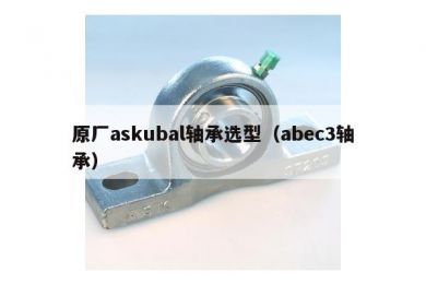 原厂askubal轴承选型（abec3轴承）