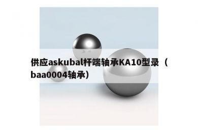 供应askubal杆端轴承KA10型录（baa0004轴承）