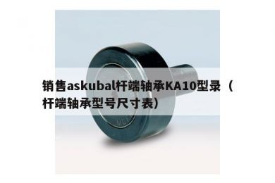 销售askubal杆端轴承KA10型录（杆端轴承型号尺寸表）