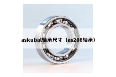 askubal轴承尺寸（as206轴承）