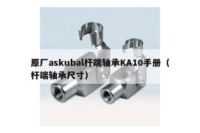 原厂askubal杆端轴承KA10手册（杆端轴承尺寸）