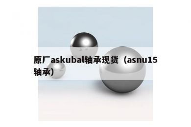 原厂askubal轴承现货（asnu15轴承）
