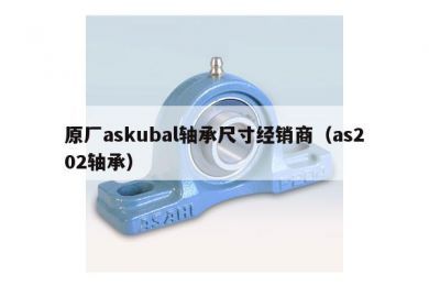 原厂askubal轴承尺寸经销商（as202轴承）