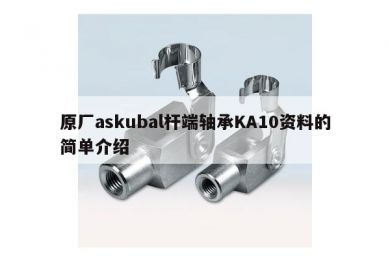 原厂askubal杆端轴承KA10资料的简单介绍